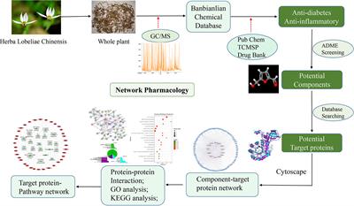 Network Pharmacology-Based Dissection of the Anti-diabetic Mechanism of Lobelia chinensis